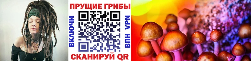 Галлюциногенные грибы ЛСД  где купить наркоту  Хвалынск 